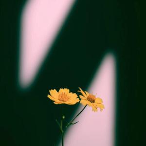 27男女邪恶动态
