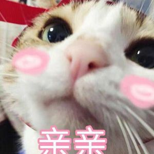 27男女邪恶动态
